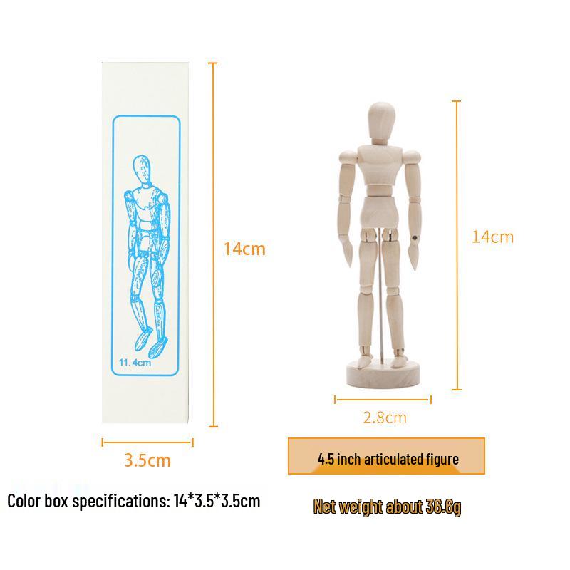 

12-дюймовый и 10-дюймовый шарнирный деревянный манекен для искусства и живописи