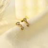 Wind Fashion Trend Women'S 18K Gold Stainless Steel Color Zircon Pendant Earrings Earrings Jewelry