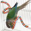 Colorful Bird Perch for Cage Cotton Rope Parrot Swing Parrot Stand  Bird Cage Accessories