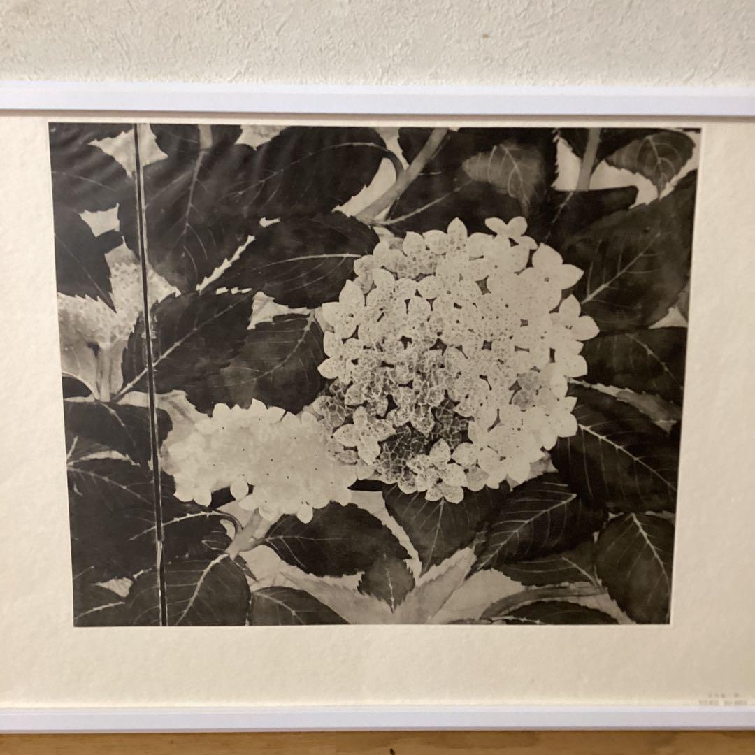 

[USED] Genius Painter Hayami Gyoshu, Supervised by Benrido, Masterpieces, Green Moss and Green Grass Part, Hydrangea Picture No. 28