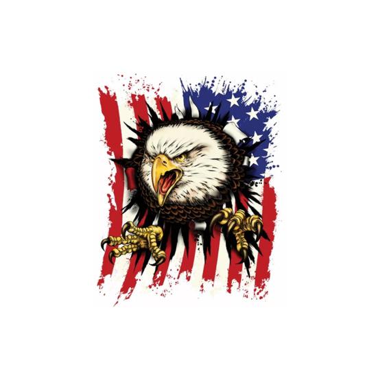 Car Decor Sticker Eye-catching Good Visual Effect Removable American Eagle Vinyl