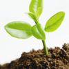 MOONSPRY Coconut Fiber Nutrient Soil Brick for Plant Cultivation & Flower Fertilizer