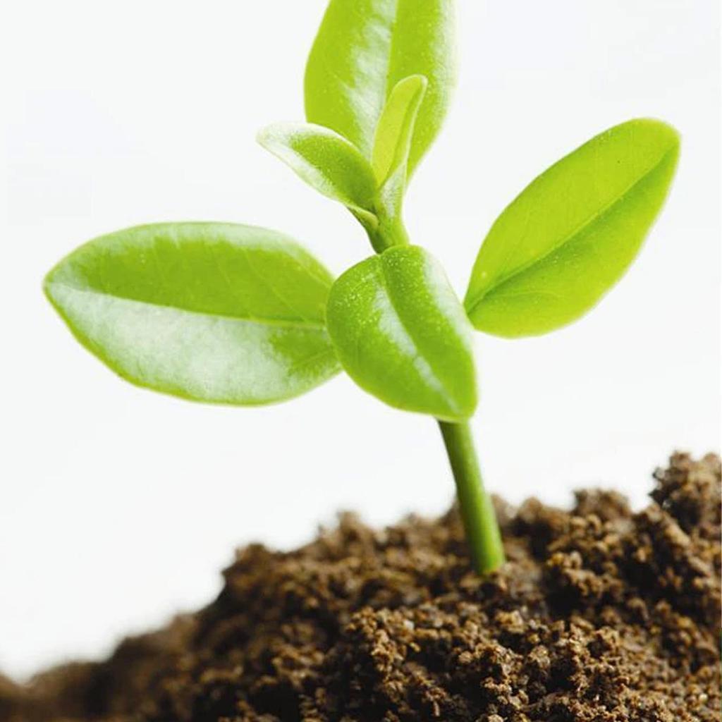 MOONSPRY Coconut Fiber Nutrient Soil Brick for Plant Cultivation & Flower Fertilizer