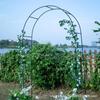 Wrought Iron Wedding Archway Trellis for Climbing Plants: Outdoor Rose Garden Gate