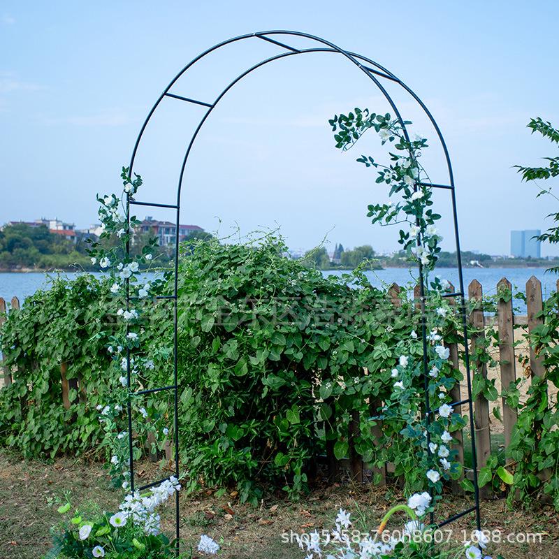 Wrought Iron Wedding Archway Trellis for Climbing Plants: Outdoor Rose Garden Gate