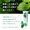 Dentiste Etiquette Paste Toothpaste 100g Mint