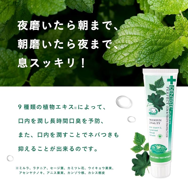 Dentiste Etiquette Paste Toothpaste 100g Mint