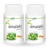 JAIN Amla Capsules 120 Count X Pack of 2 Natural Ayurvedic Supplement for Wellness and Energy Support