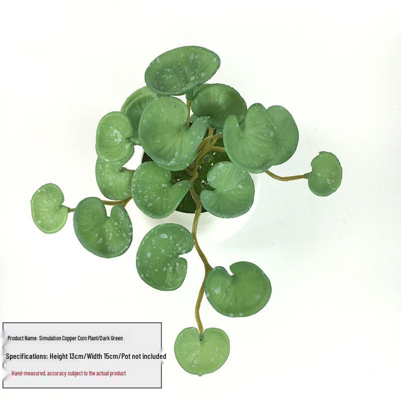 Huashe Red Air Succulent: Creative Faux Green Plant for Home Décor