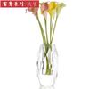 European Crystal Glass Small Vase, Fresh Tabletop Ornaments, Flower Plant, Transparent Bottle, Modern Home Decoration Accessorie