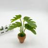 Realistic Greenery Plant Miniature Houseplants Desk Decorations For Home Office Coffee Shop Workspaces Scene Setting