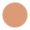 Shiseido Spots Cover Foundation (Base Color) S101 20g