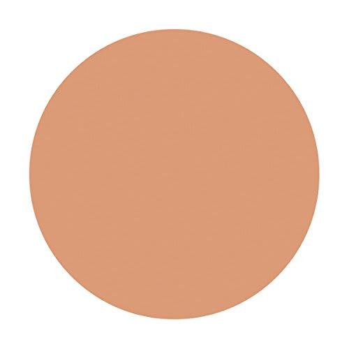 Shiseido Spots Cover Foundation (Base Color) S101 20g
