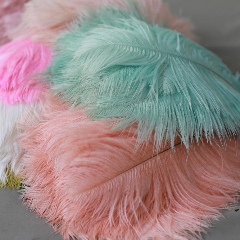 10 STÜCKE 20-25Cm Straußenfeder Bühnenauftritt Feder Handgefertigt DIY Schmuck Dekomaterial Straußenhaar