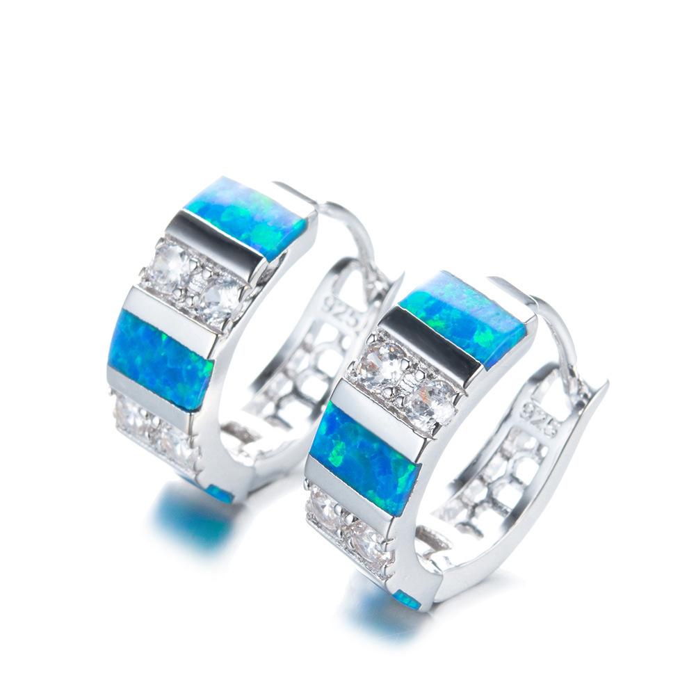 Exquisite Blue Teardrop Shaped Earrings with Exaggerated European and American Personality Diamond Studded Circle Earrings