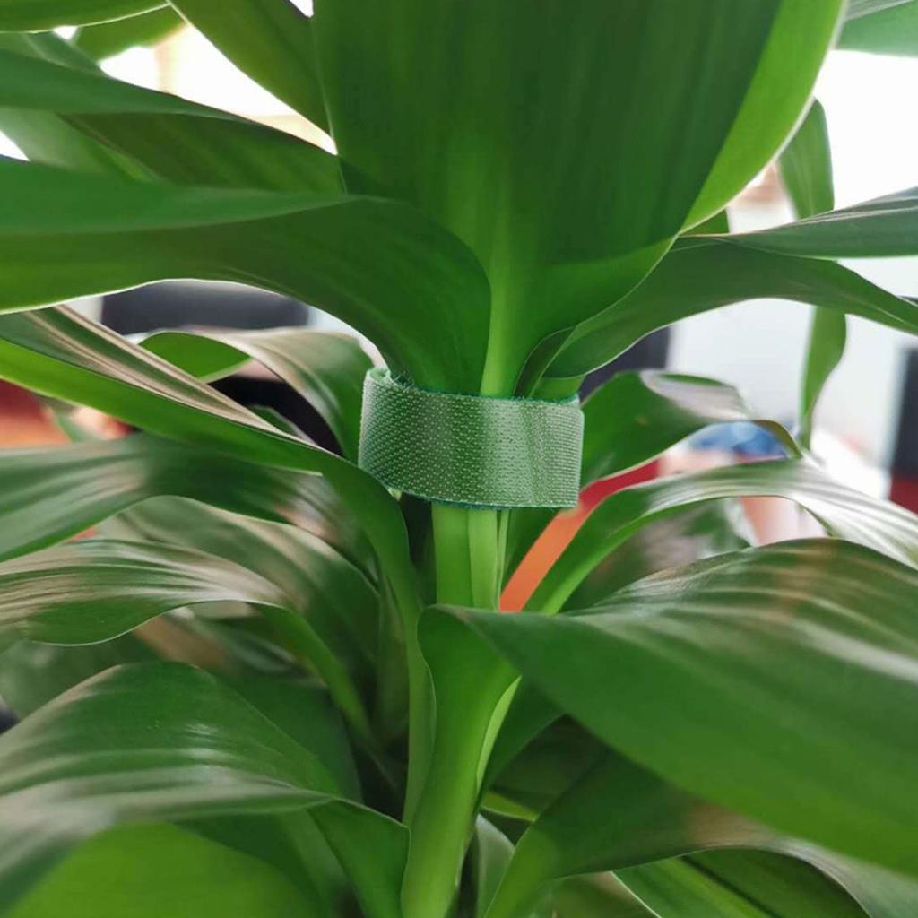 Plant Fixed Belt Adjustable Plant Support Reusable Fastener Tape For Home Garden Accessories
