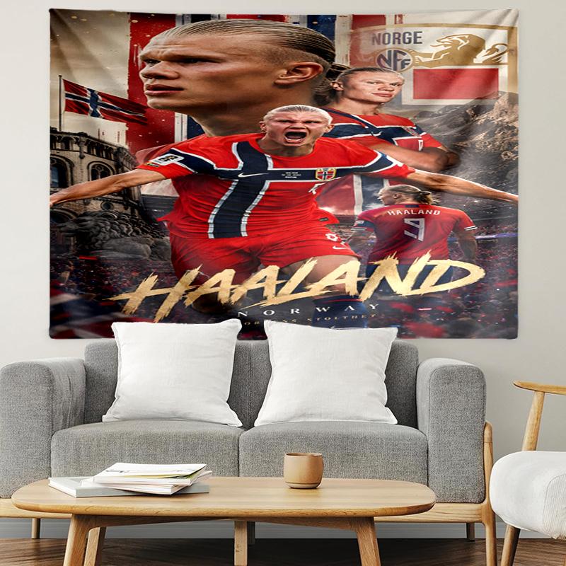 Haaland Tapestry, Wall Hanging Tapestry, Pattern Tapestry for Dorm Bedroom Living Room Wall Art Photography Backdrop