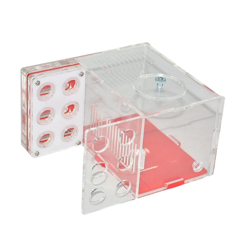 ANT Farm Easy To Assemble Workshop Moisture House Nest Box Breeding Case for Tabletop Science Observation