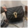 2024 New Women's Crossbody Bag Street Fashion Shoulder Bag Casual Trendy Purse Stylish Chain Bag