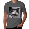 Agony in Screaming TShirt Breathable Gym Short Sleeve TShirt