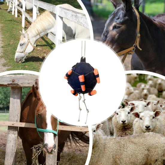 Pferdestall Spielzeug Langeweile Stressabbau Hängender Spielball Karottenfutterer Interaktives Stall Kauspielzeug für Pferde Rinder Schafe Ziegen Stall Bauernhof Nutztiere
