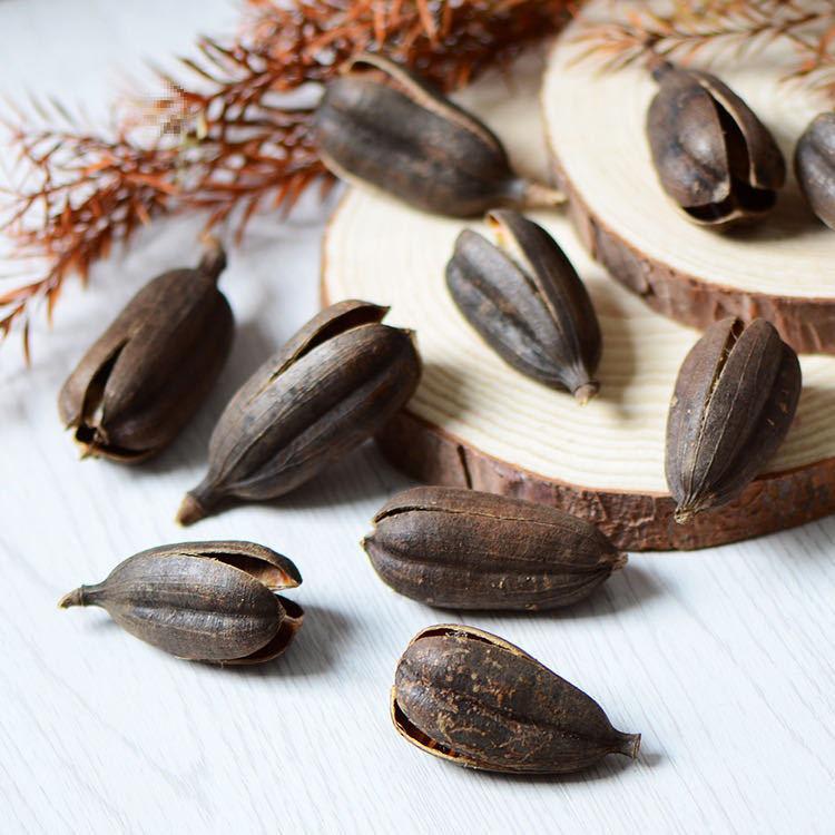 Christmas Pine Cones & Dried Flowers Pack - Eucalyptus, Pine Wood, Cotton, Handmade Photography Props