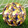 Pupstruction Theme Size 5 Soccer Ball, Suitable for Both Indoor and Outdoor Matches, a Gift Suitable for Everyone.