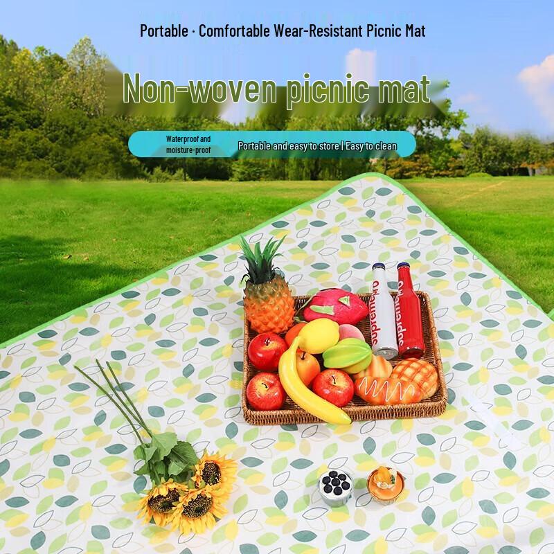 Quyoubang Portable Non-Woven Picnic Mat