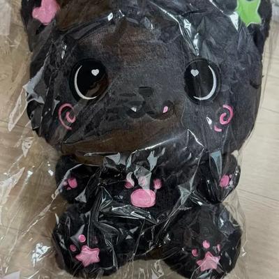 NCT Wish 30CM WISHDOLL Riku