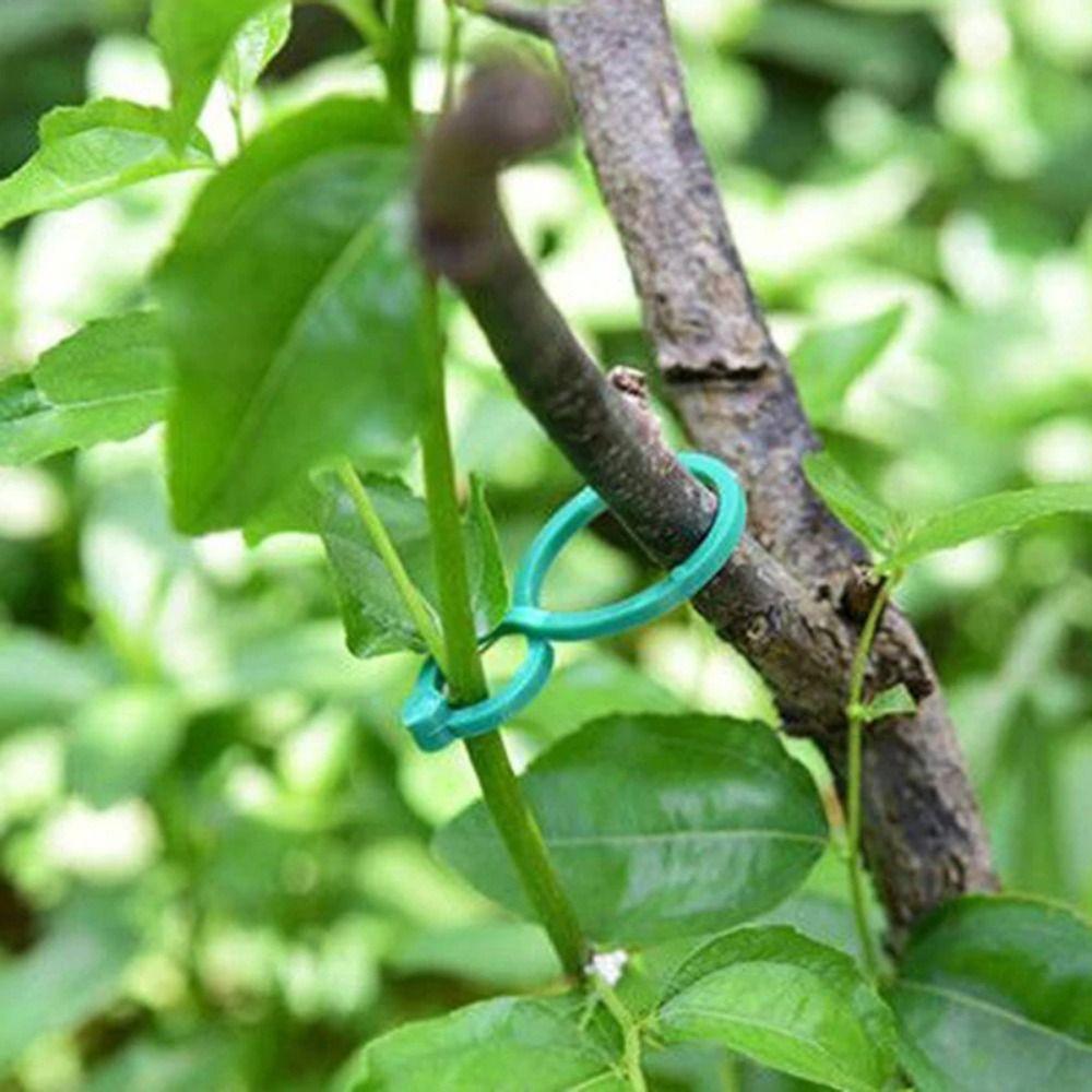 50Pcs Bundled Upright Plant Holder Green Tie Vine Strapping Clips New Garden Plant Clips