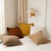 Ins Solid Color Light Coffee Lamb Velvet Pillow Case Bedside Sofa Cushion Living Room Carpet Bay Window Pillow Back Rest