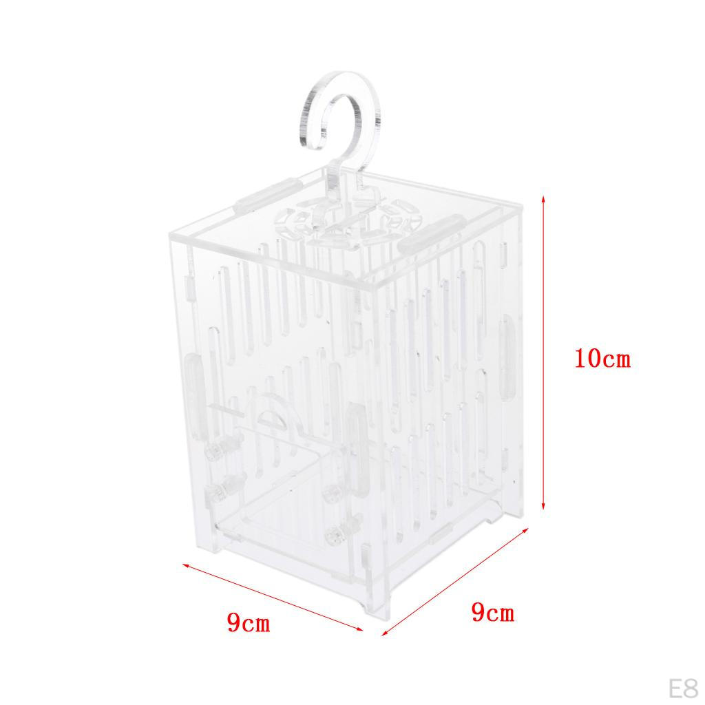 Spider Insect Cricket Tank Vivarium Cage Box Clear Acrylic Terrarium