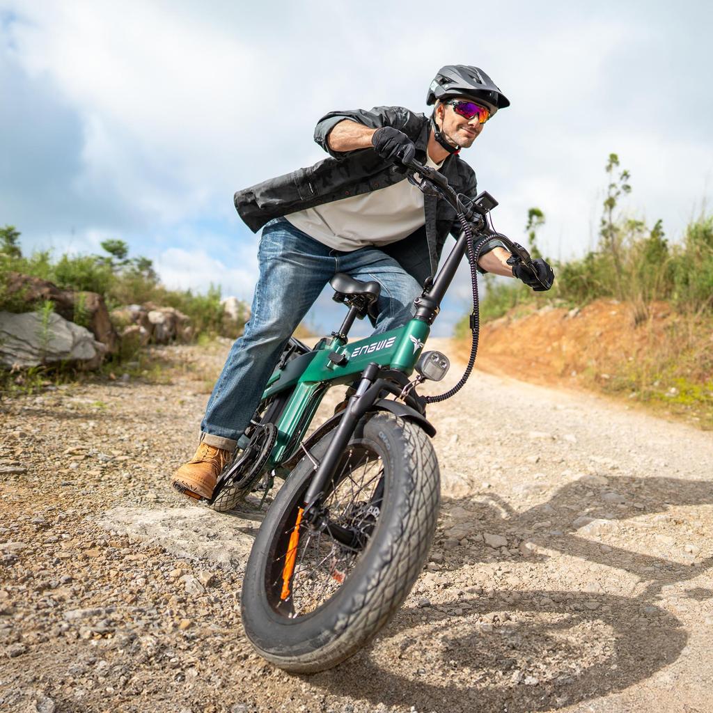 Electric Bicycle ENGWE EP-2 3.0 BOOST,250W Motor, 25km/h Max Speed, 7-Speed Gear, APP Control