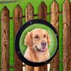 Ventana de Burbuja para Perro Pequeño, Gatos Valla de Asomado para Perros Valla para Cachorros Ventana Accesorios para Perros Ventana para Mascotas
