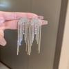 Silver Needle Metal Style Long Zircon Leaf Tassel Earrings Exquisite Fashion Earrings Cold Wind Light Luxury Temperament Earrings