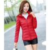 Giacca Cappotto Invernale Imbottito in Cotone Piumino Stile Coreano Taglia Grande Donna Corto