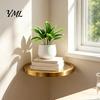 Space Saving Floating Plant Stand Wall Shelf with LED Light, Modern Gold Metal Display Rack Luxury Organizer for Plants Book, Mounted Decor