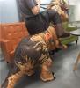 Bohuiteng Dinosaur Cosplay Dinosaur Kigurumi Rider Adult Halloween Party Costume Set Half-Body Costume, Outfit, Unisex, Monster, Air-Fillable, (Brown)