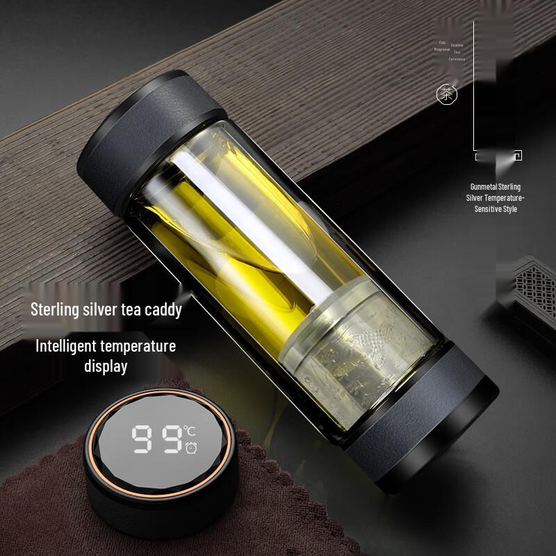 Smart Temperature Display Tea Infuser Bottle