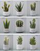 Retro Cement Cactus Bonsai - Small Faux Potted Plant for Office Decoration