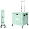 Bingyue Portable Folding Shopping Cart