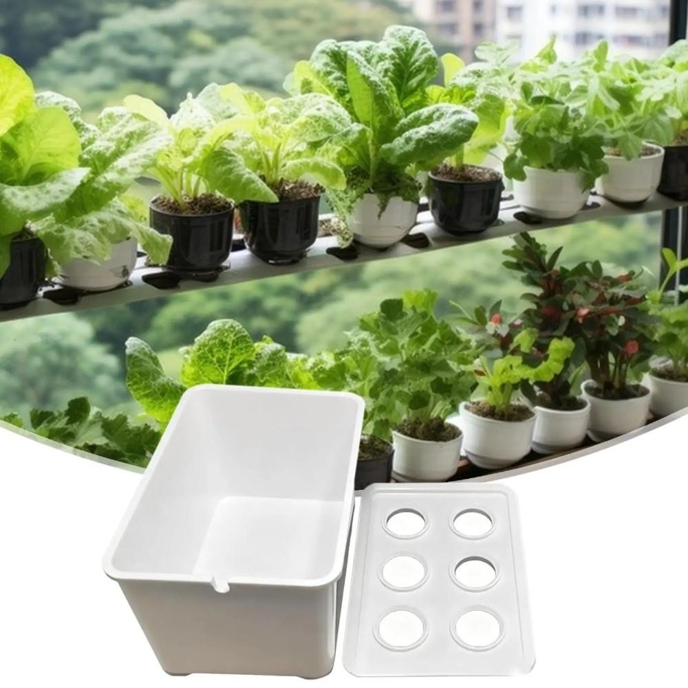6 Holes Soil-Free Planting Box Plastic Nursery Pots Versatile Cultivation Box  Indoor Gardening