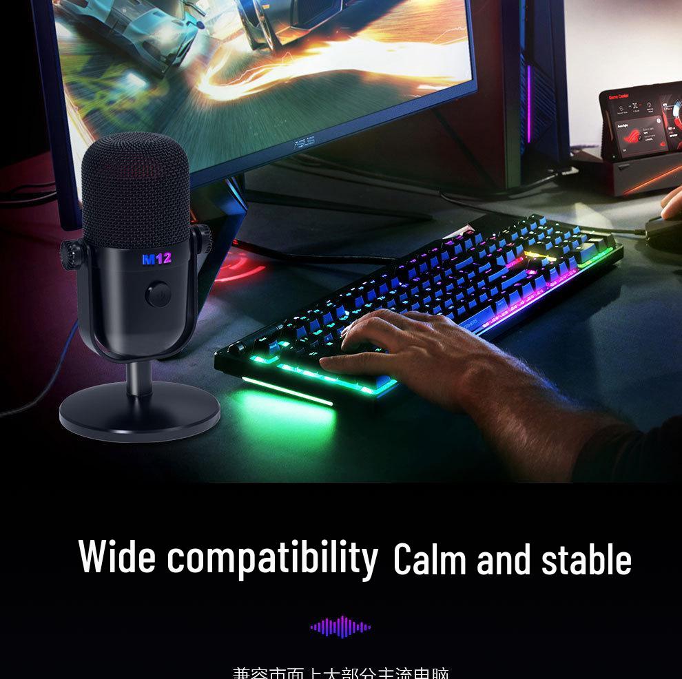 M12 RGB USB Condenser Microphone for Esports, Gaming, Recording, and Live Broadcast