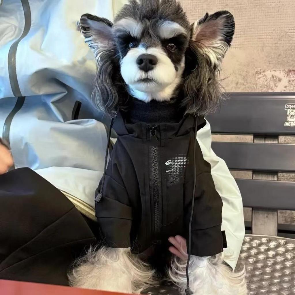 Trendy Pet Windbreaker: Warm Autumn/Winter Clothes for Small Dogs & Cats (Teddy, Bichon, Schnauzer, French Bulldog)
