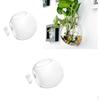 2 Wall Hanging Planter Glass Vase Plant Pot Terrarium Ball 10cm