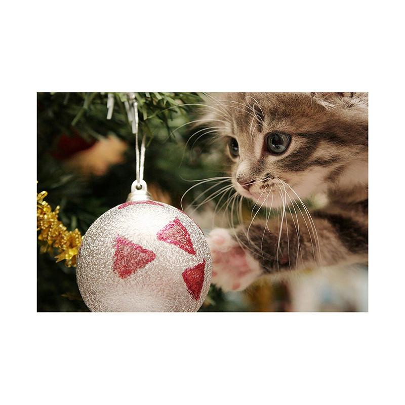 Pet Themed Christmas Photography Backdrop,Party Banner,Wall Decor,for Parties Backdrops,Holiday Decor,Photo Studio