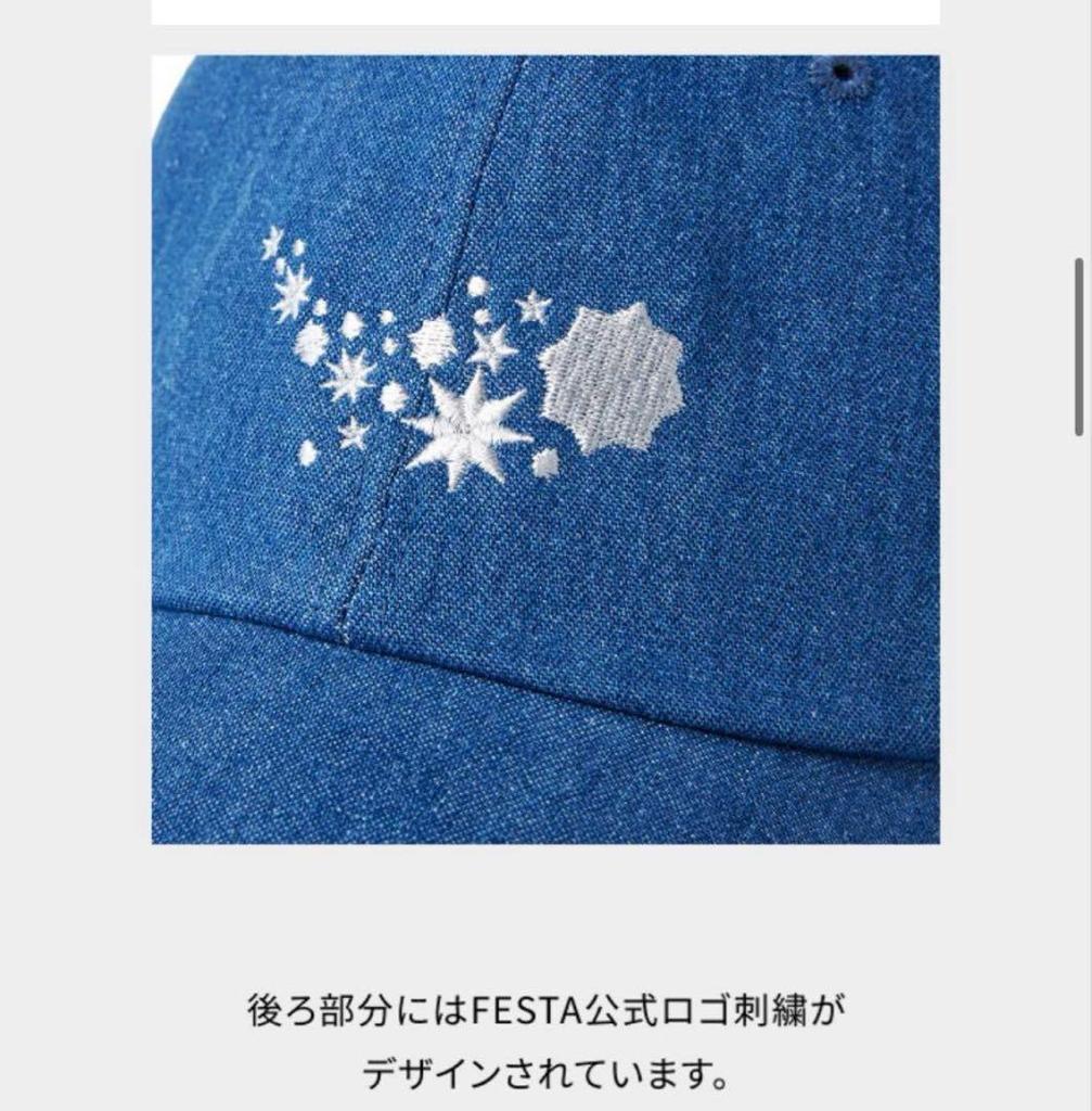 [USED] BTS 2025 FESTA Ball Cap Hat