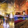 LED String Light Christmas Net Lamp with 8 Modes for Party Garden Decoration