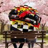 1pc Formula 1 Race Car Pattern Umbrella Design Automatic Opening and Closing Umbrella, High-quality Travel Umbrella,  C1128122
