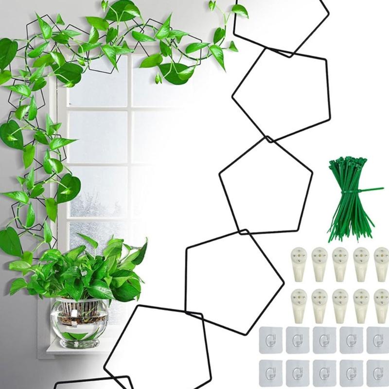 Plant Stakes For Indoor Plant Stem Support Trellis Racks Climbing Bracket Tomato Cages Garden Vegetable Cucumber Support